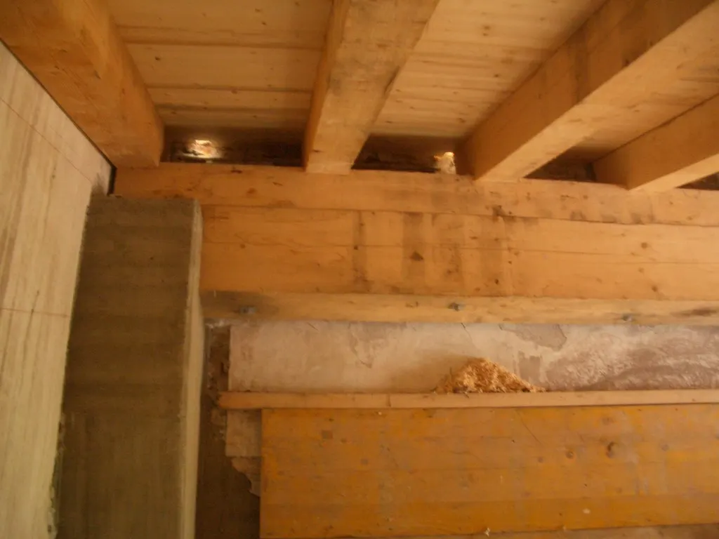 Trockenausbau — Foto 4 von 4
